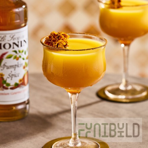 Monin Premium Pumpkin Spice Flavoring Syrup 750 mL