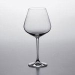 Lucaris Hip from Anchor Hocking Foodservice 15.5 oz. Long Drink Glass - 24/Case