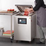 VacPak-It VMC20FGF Floor Model Chamber Vacuum Packaging Machine with (2) 20