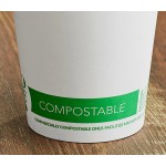 EcoChoice 12 oz. White Compostable Paper Hot Cup and PLA Lid - 50/Case EcoChoice 12 oz. White Compostable Paper Hot Cup and PLA Lid - 50/Case