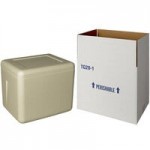 Insulated Biodegradable Cooler 14 1/8
