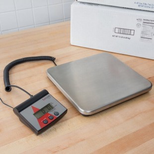 Taylor TE220FT 220 lb. Digital Receiving Scale with Remote Display Taylor TE220FT 220 lb. Digital Receiving Scale with Remote Display