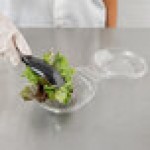 Polar Pak Clear Tamper-Resistant, Tamper-Evident 8 oz. Round Bowl with Lid - 240/Case Polar Pak Clear Tamper-Resistant, Tamper-Evident 8 oz. Round Bowl with Lid - 240/Case