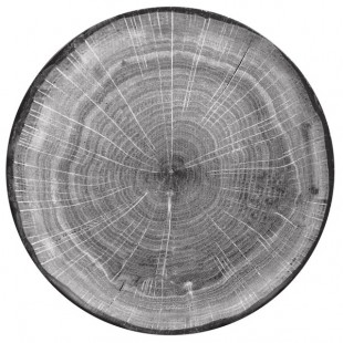 RAK Porcelain Woodart 11 7/16