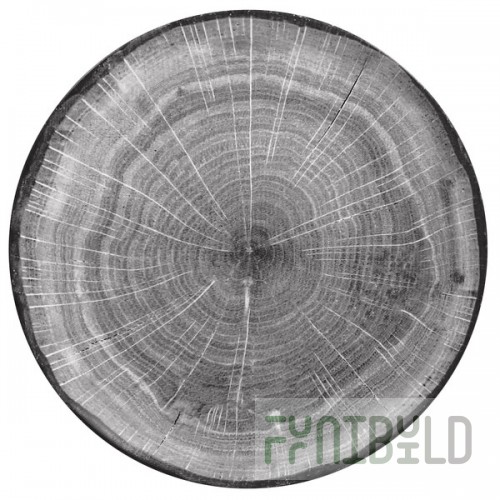 RAK Porcelain Woodart 11 7/16