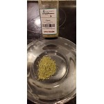 Regal Cilantro - 1 oz. Regal Cilantro - 1 oz.