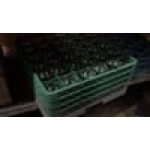 Noble Warewashing 36-Compartment Gray Full-Size Glass Rack with 3 Green Extenders Noble Warewashing 36-Compartment Gray Full-Size Glass Rack with 3 Green Extenders