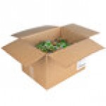 Burry Foods 0.25 oz. Homestyle Seasoned Croutons Portion Pack - 250/Case