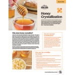 Hometown Provisions Hot Honey Squeeze Bottle 24 oz. - 6/Case