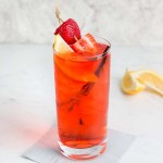 Stolzle New York from Global Tableware Collective 17.75 oz. Highball Glass - 6/Case Stolzle New York from Global Tableware Collective 17.75 oz. Highball Glass - 6/Case