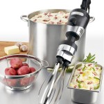 Waring WSBPPWA Big Stik Variable Speed Immersion Blender with 10 Waring WSBPPWA Big Stik Variable Speed Immersion Blender with 10