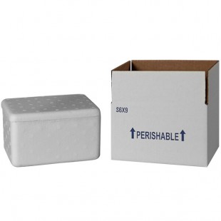 Insulated Shipping Box with Foam Cooler 7 1/4