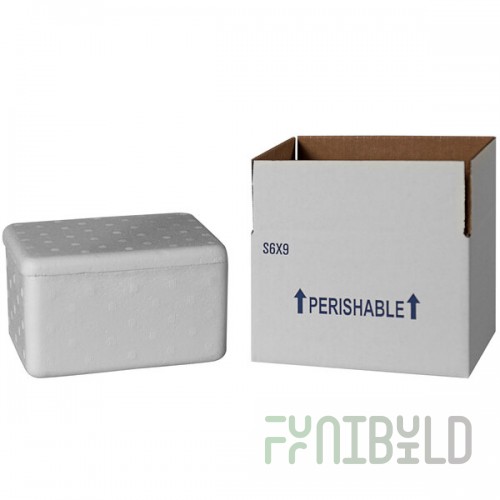 Insulated Shipping Box with Foam Cooler 7 1/4