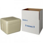 Insulated Biodegradable Cooler 12 1/8