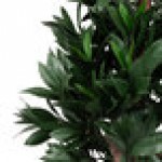 Mills Floral Company 36