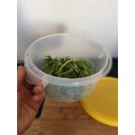 Rubbermaid® 8 Qt. Translucent Round Polypropylene Food Storage Container Rubbermaid® 8 Qt. Translucent Round Polypropylene Food Storage Container