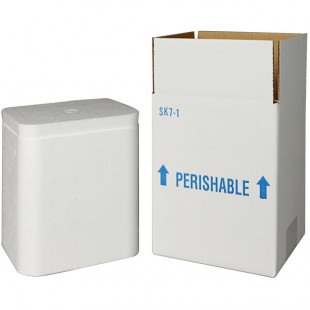 Insulated Shipping Box with Foam Cooler 5 1/2