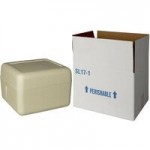 Insulated Biodegradable Cooler 12 1/8