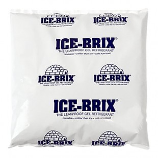 Polar Tech 16 oz. Ice Brix Leakproof Reusable Cold Pack - 36/Case Polar Tech 16 oz. Ice Brix Leakproof Reusable Cold Pack - 36/Case