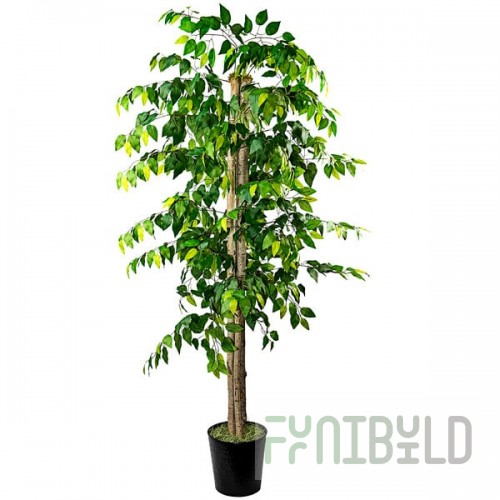 LCG Sales 6' Artificial Ficus Tree in Black Deco Metal Pot