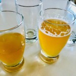 Acopa 5 oz. Customizable Barbary Beer Tasting Glass - 12/Case Acopa 5 oz. Customizable Barbary Beer Tasting Glass - 12/Case