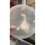 Choice 12, 18, and 22 Qt. Translucent Round Polypropylene Food Storage Container Lid Choice 12, 18, and 22 Qt. Translucent Round Polypropylene Food Storage Container Lid