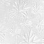 Enjay 1/4-10RW24 10 Enjay 1/4-10RW24 10