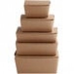 Fold-Pak 04BPDINEEM Bio-Plus Dine Kraft Microwavable Paper #4 Take-Out Container 7 3/4 Fold-Pak 04BPDINEEM Bio-Plus Dine Kraft Microwavable Paper #4 Take-Out Container 7 3/4