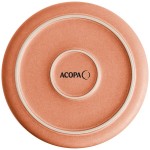 Acopa Pangea 22 oz. Terra Cotta Matte Porcelain Pasta Bowl - Sample