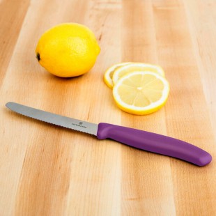 Victorinox 4 1/2