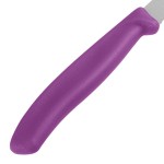 Victorinox 4 1/2