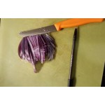 Victorinox 4 1/2