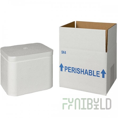 Insulated Shipping Box with Foam Cooler 5 1/2