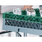 Noble Warewashing 36-Compartment Gray Full-Size Glass Rack with 1 Green Extender Noble Warewashing 36-Compartment Gray Full-Size Glass Rack with 1 Green Extender