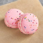 Macaron Centrale Vegan Agave Macaron - 24/Case