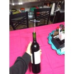 Franmara Lime Customizable Plastic Pocket Corkscrew 3008-16 Franmara Lime Customizable Plastic Pocket Corkscrew 3008-16