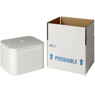 Insulated Shipping Box with Foam Cooler 5 1/2