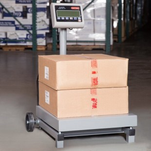 Tor Rey FS-250/500 500 lb. Digital Receiving Scale with Tower Display, Legal for Trade