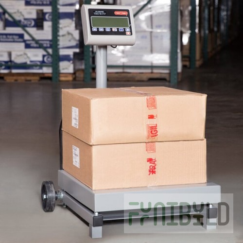 Tor Rey FS-250/500 500 lb. Digital Receiving Scale with Tower Display, Legal for Trade
