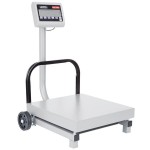 Tor Rey FS-250/500 500 lb. Digital Receiving Scale with Tower Display, Legal for Trade