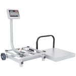 Tor Rey FS-250/500 500 lb. Digital Receiving Scale with Tower Display, Legal for Trade