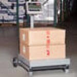 Tor Rey FS-250/500 500 lb. Digital Receiving Scale with Tower Display, Legal for Trade