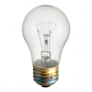 Hatco R02.30.266.12 Coated Light Bulb - 250V, 40W - 12/Pack