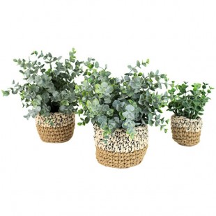 Kalalou 3-Piece Artificial Eucalyptus Plant Set in Woven Pots
