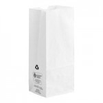 25 lb. Tall White Paper Bag - 500/Bundle