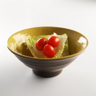 Elite Global Solutions D1006RR Pebble Creek Olive Oil-Colored 20 oz. Bowl - 6/Case Elite Global Solutions D1006RR Pebble Creek Olive Oil-Colored 20 oz. Bowl - 6/Case