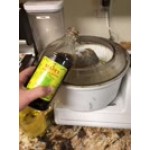 Shank's 1 Gallon Imitation Vanilla Shank's 1 Gallon Imitation Vanilla