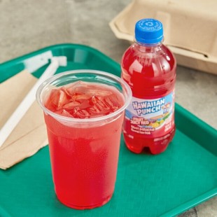 Hawaiian Punch Fruit Juicy Red 10 fl. oz. - 24/Case