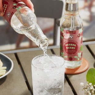 Reading Soda Works Herbal Berry Sparkling Botanical Soda 12 fl. oz. - 12/Case
