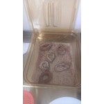 Carlisle 3088213 StorPlus 1/4 Size Amber High Heat Plastic Food Pan - 6